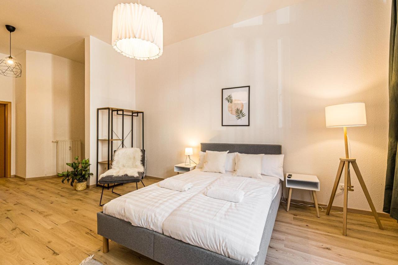Ruhige Und Stilvolle Wohnung Am Clara-Zetkin-Park Лейпциг Екстер'єр фото